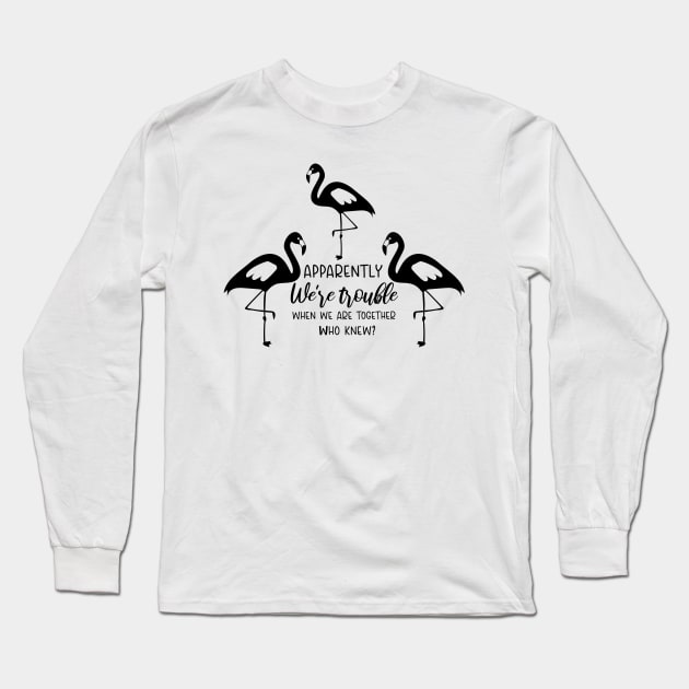 Flamingo Lovers Gift, Apparently we're trouble when we are together Who knew Long Sleeve T-Shirt by hugandmug